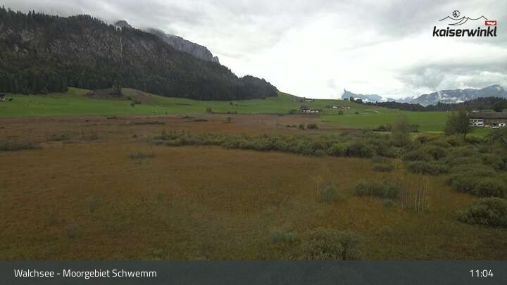 Archiv Foto Webcam Moorgebiet Schwemm am Walchsee