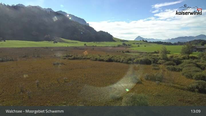 Archiv Foto Webcam Moorgebiet Schwemm am Walchsee