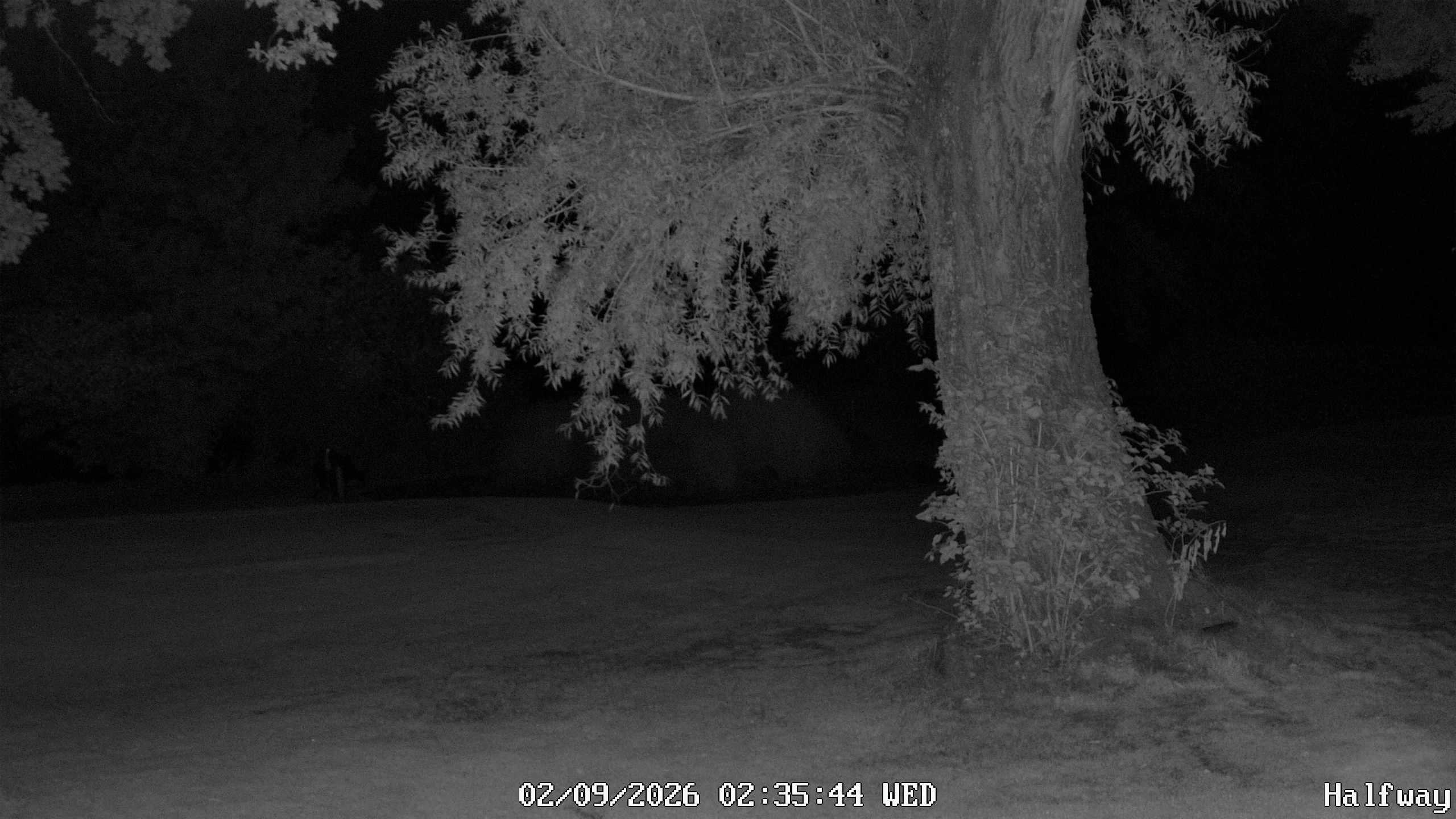 Archiv Foto Webcam Golfclub Rottal - Hebertsfelden - Eggenfelden
