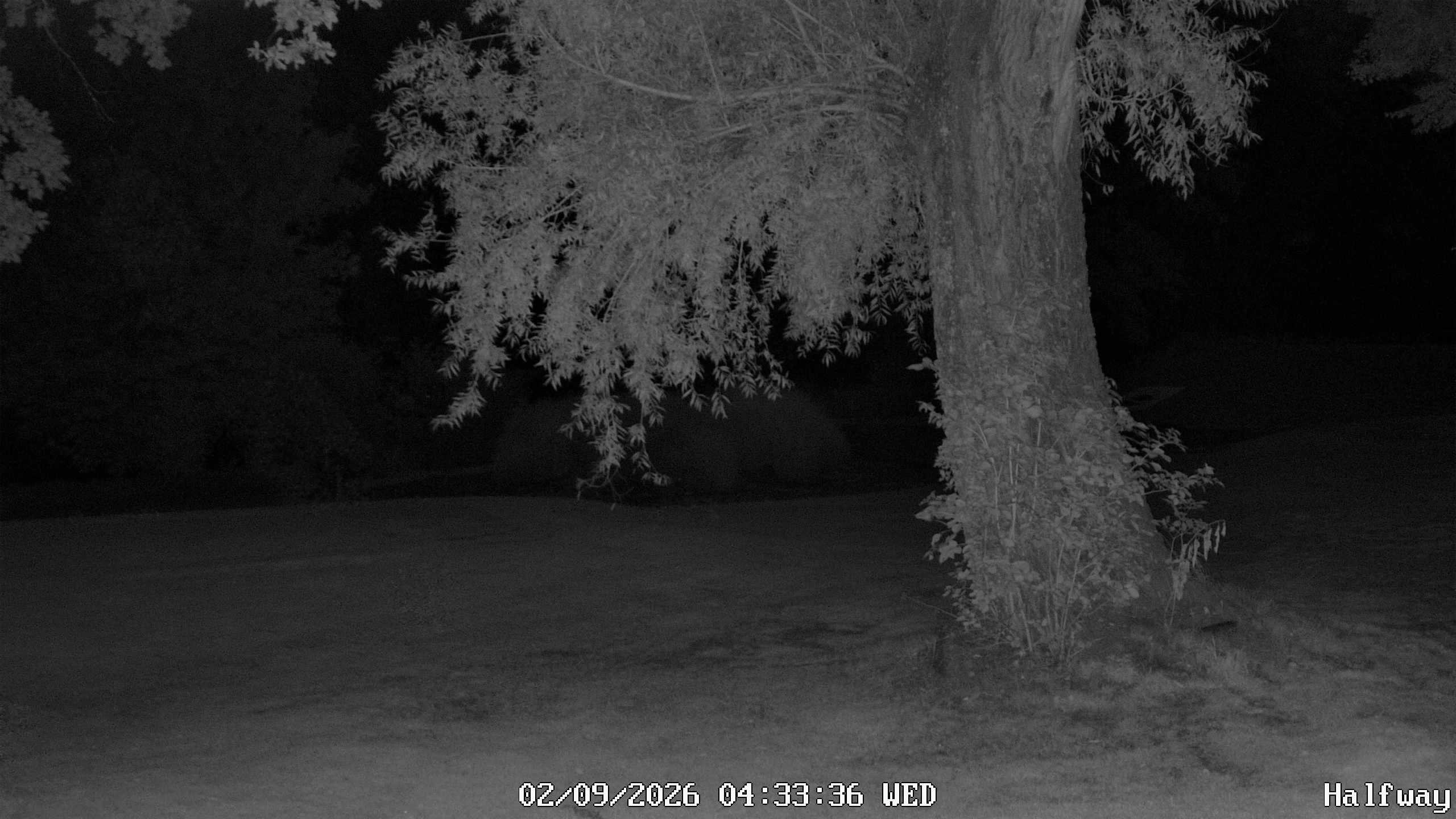 Archiv Foto Webcam Golfclub Rottal - Hebertsfelden - Eggenfelden