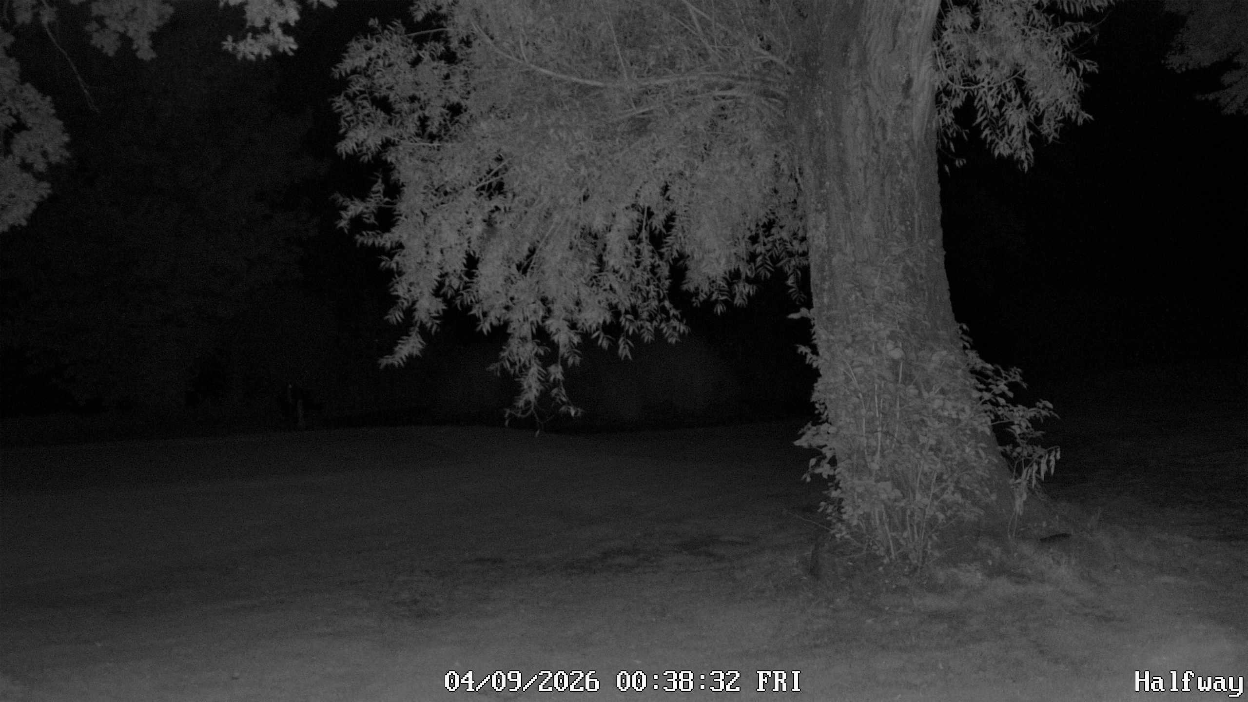 Archived image Webcam Golfclub Rottal - Herbertsfelden