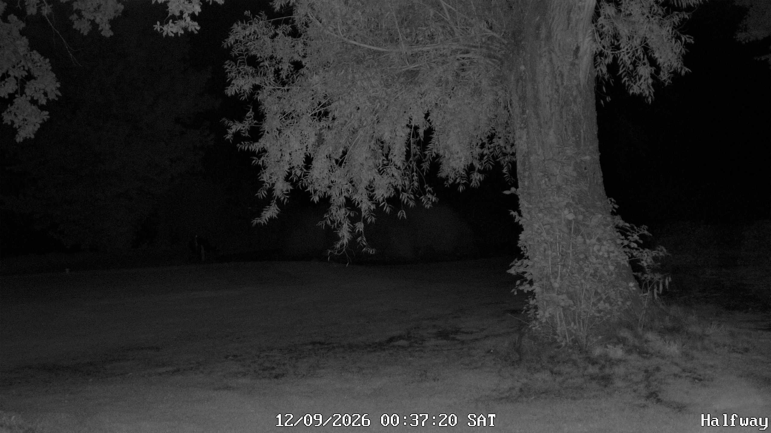 Archiv Foto Webcam Golfclub Rottal - Hebertsfelden - Eggenfelden