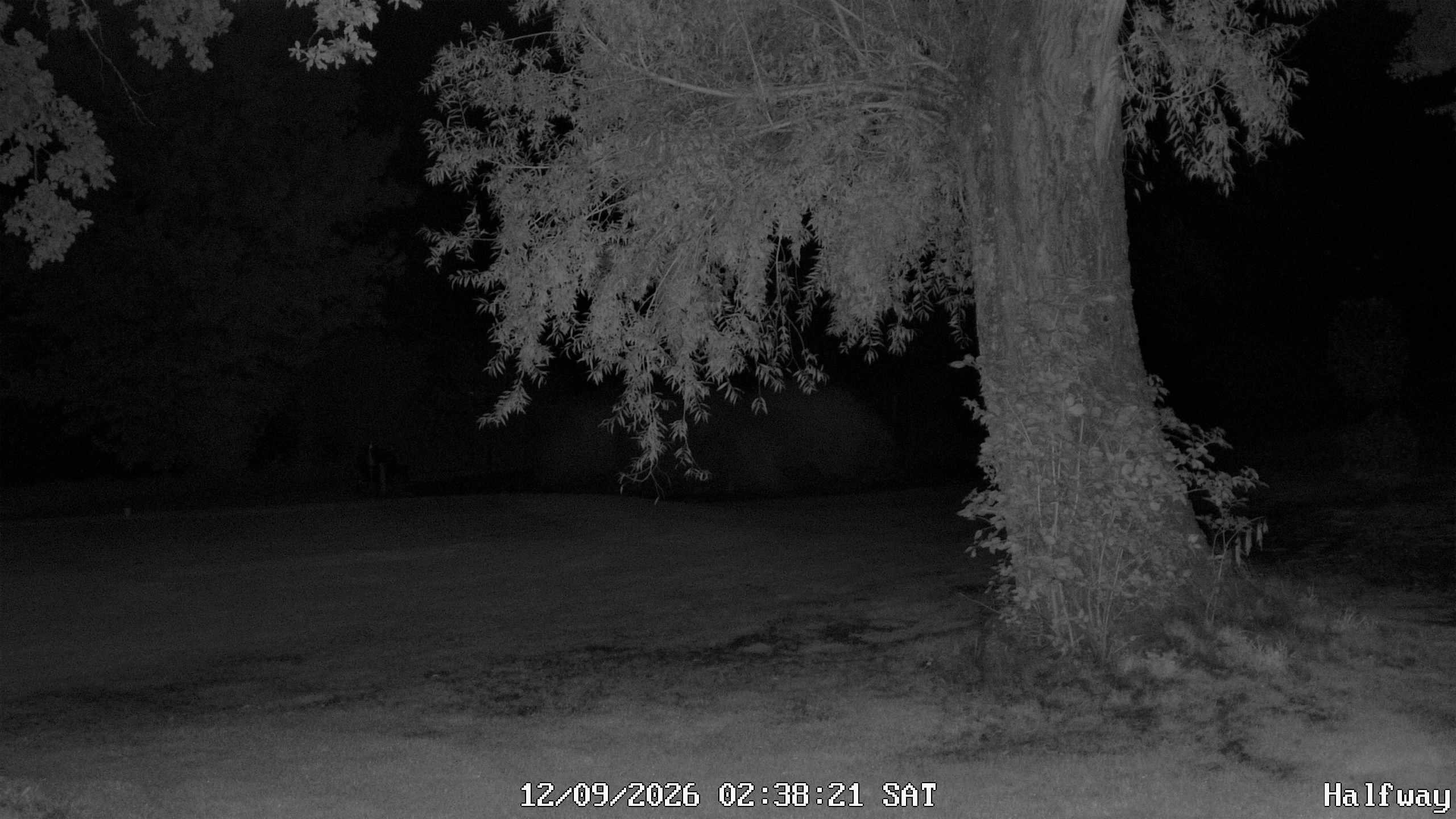 Archiv Foto Webcam Golfclub Rottal - Hebertsfelden - Eggenfelden