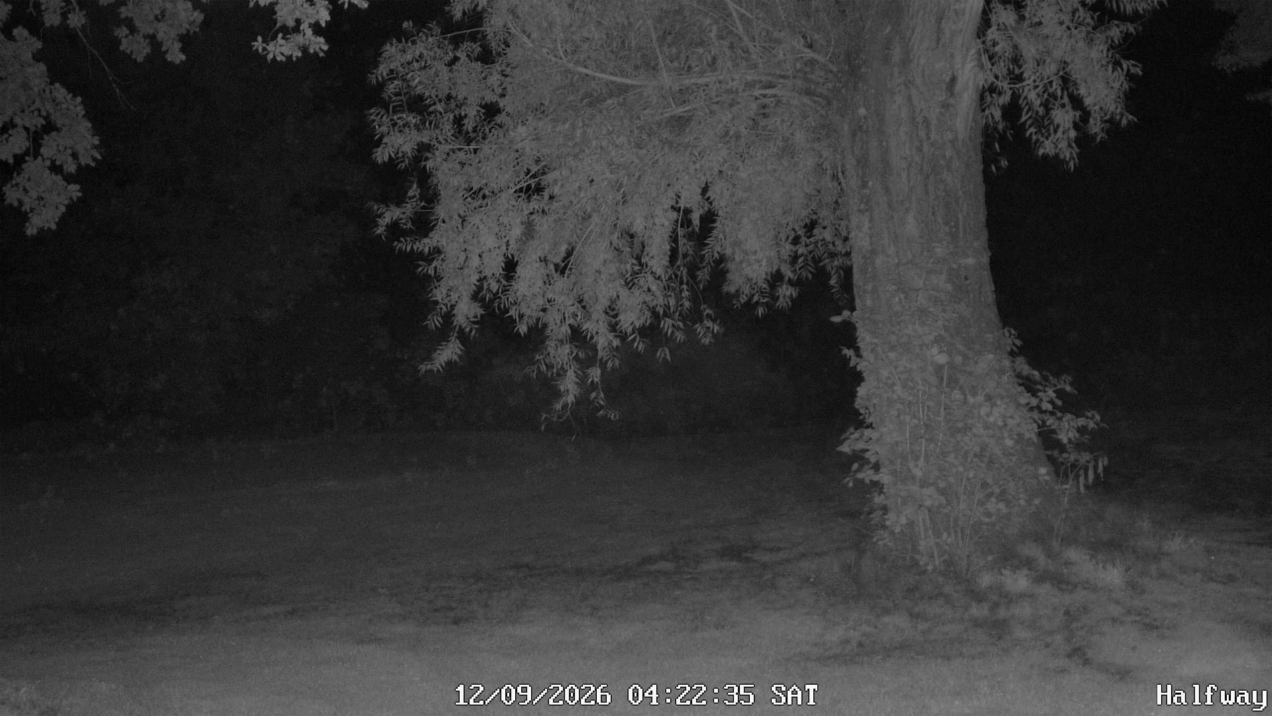 Archiv Foto Webcam Golfclub Rottal - Hebertsfelden - Eggenfelden