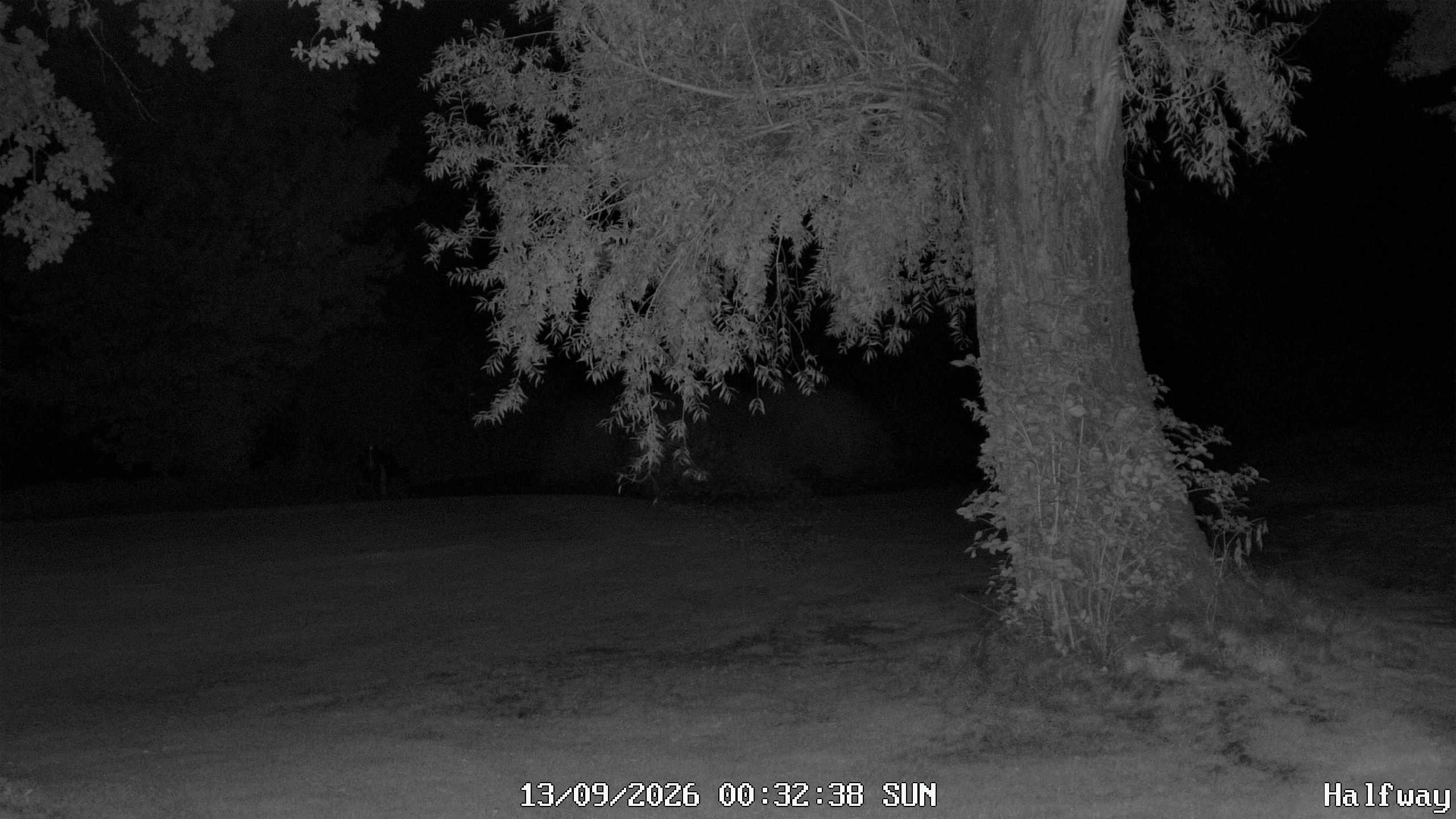 Archiv Foto Webcam Golfclub Rottal - Hebertsfelden - Eggenfelden