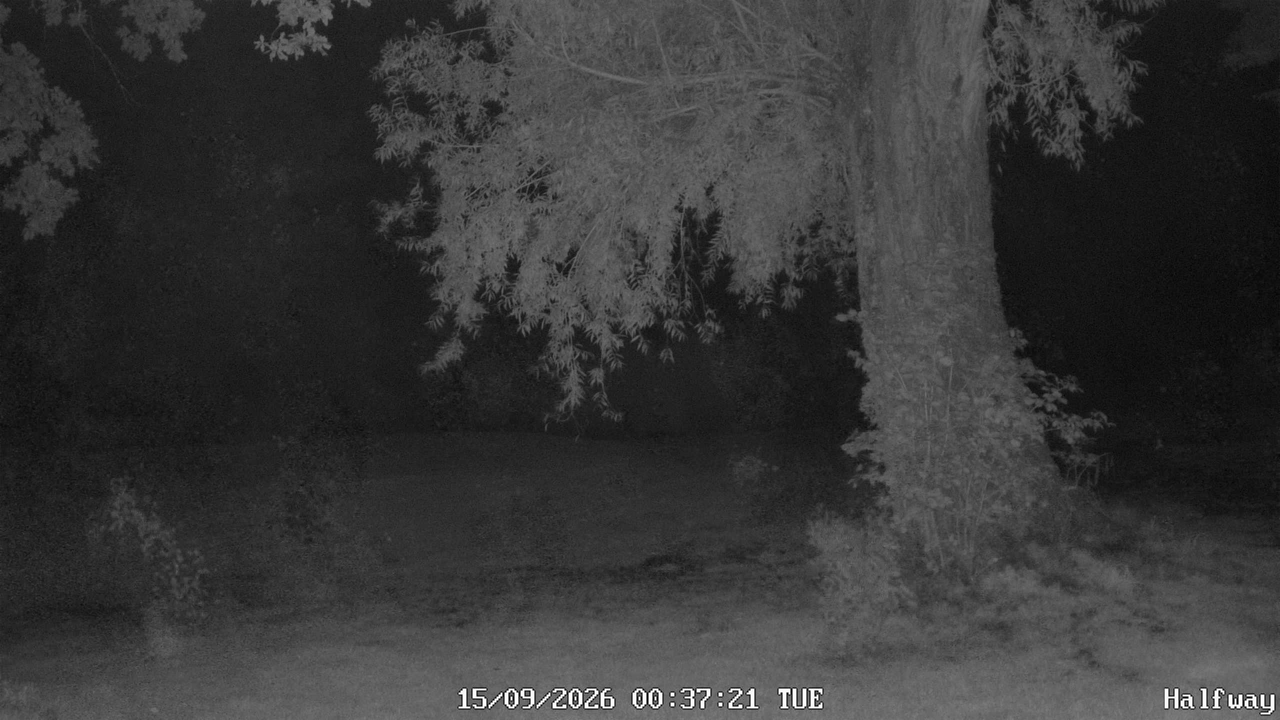 Archiv Foto Webcam Golfclub Rottal - Hebertsfelden - Eggenfelden