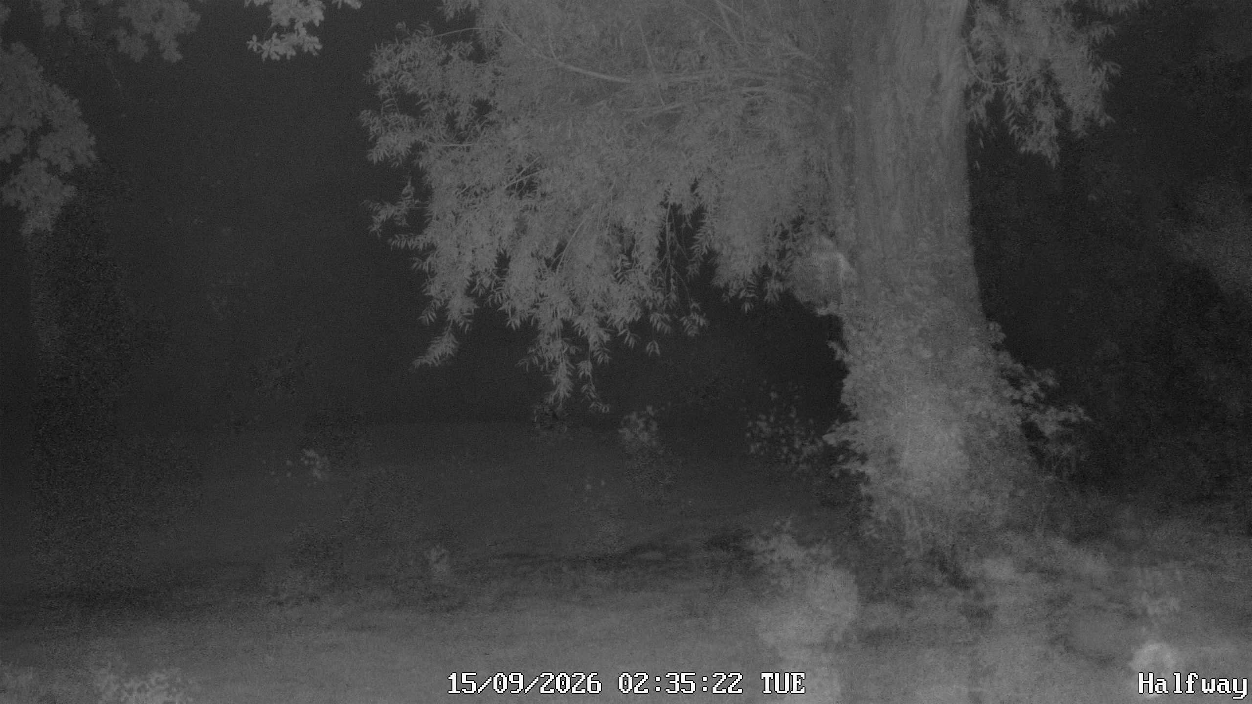 Archiv Foto Webcam Golfclub Rottal - Hebertsfelden - Eggenfelden