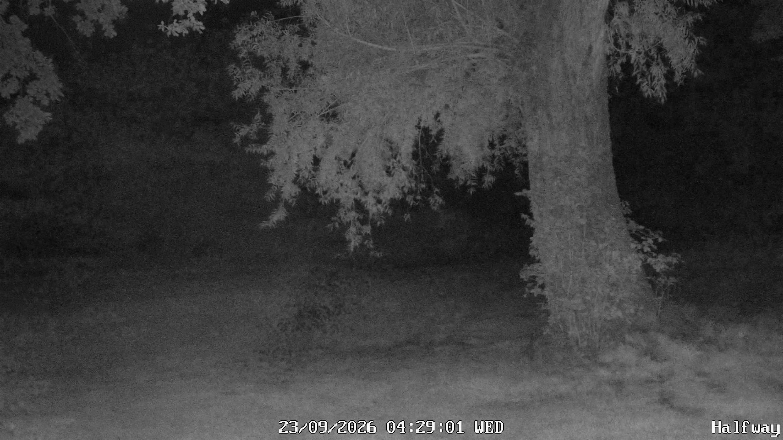 Archiv Foto Webcam Golfclub Rottal - Hebertsfelden - Eggenfelden