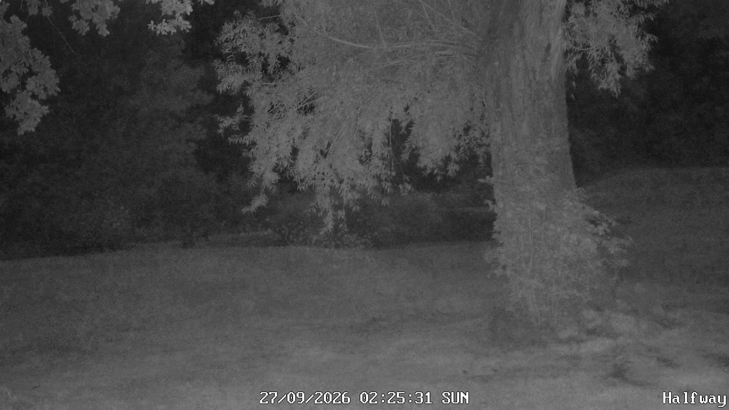 Archiv Foto Webcam Golfclub Rottal - Hebertsfelden - Eggenfelden