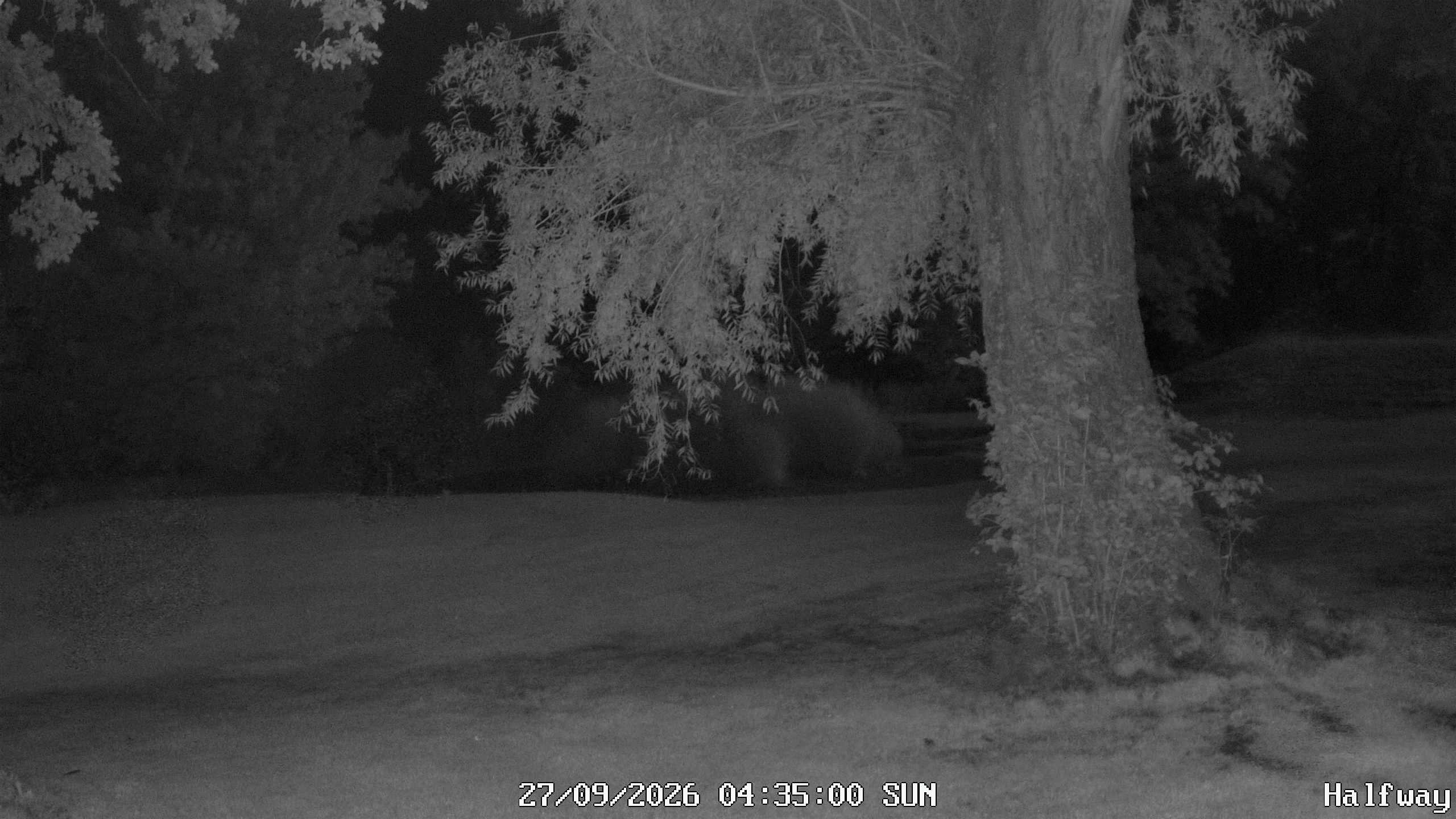 Archiv Foto Webcam Golfclub Rottal - Hebertsfelden - Eggenfelden