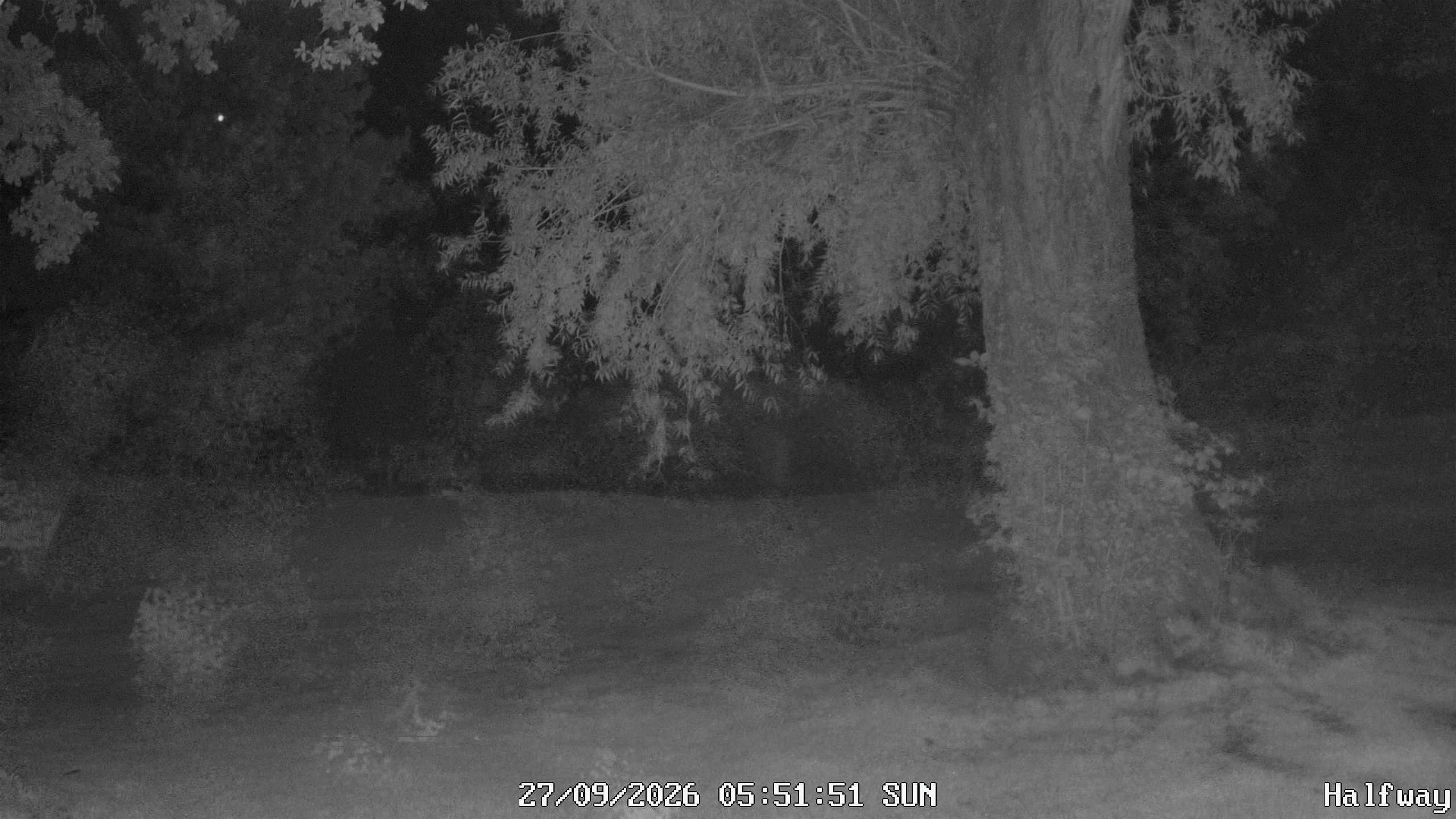 Archiv Foto Webcam Golfclub Rottal - Hebertsfelden - Eggenfelden
