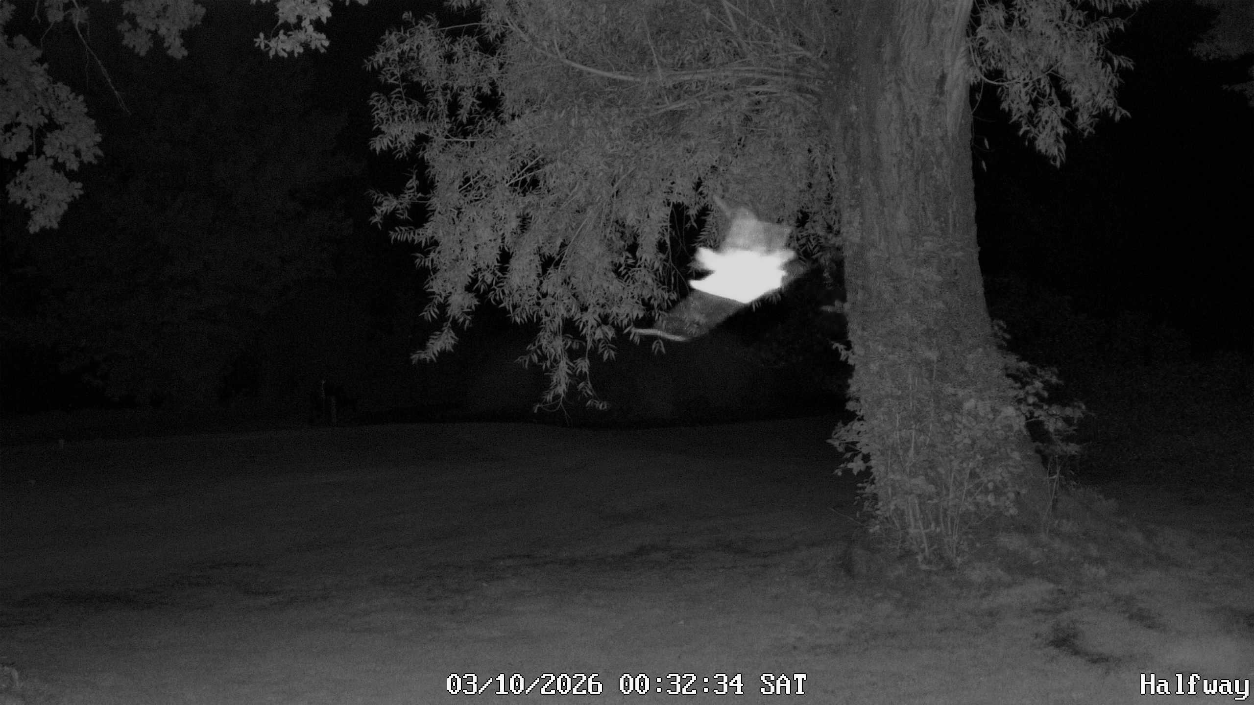 Archiv Foto Webcam Golfclub Rottal - Hebertsfelden - Eggenfelden