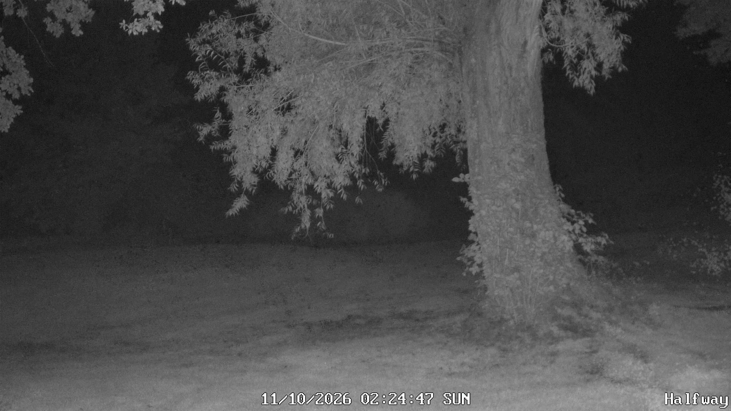 Archived image Webcam Golfclub Rottal - Herbertsfelden
