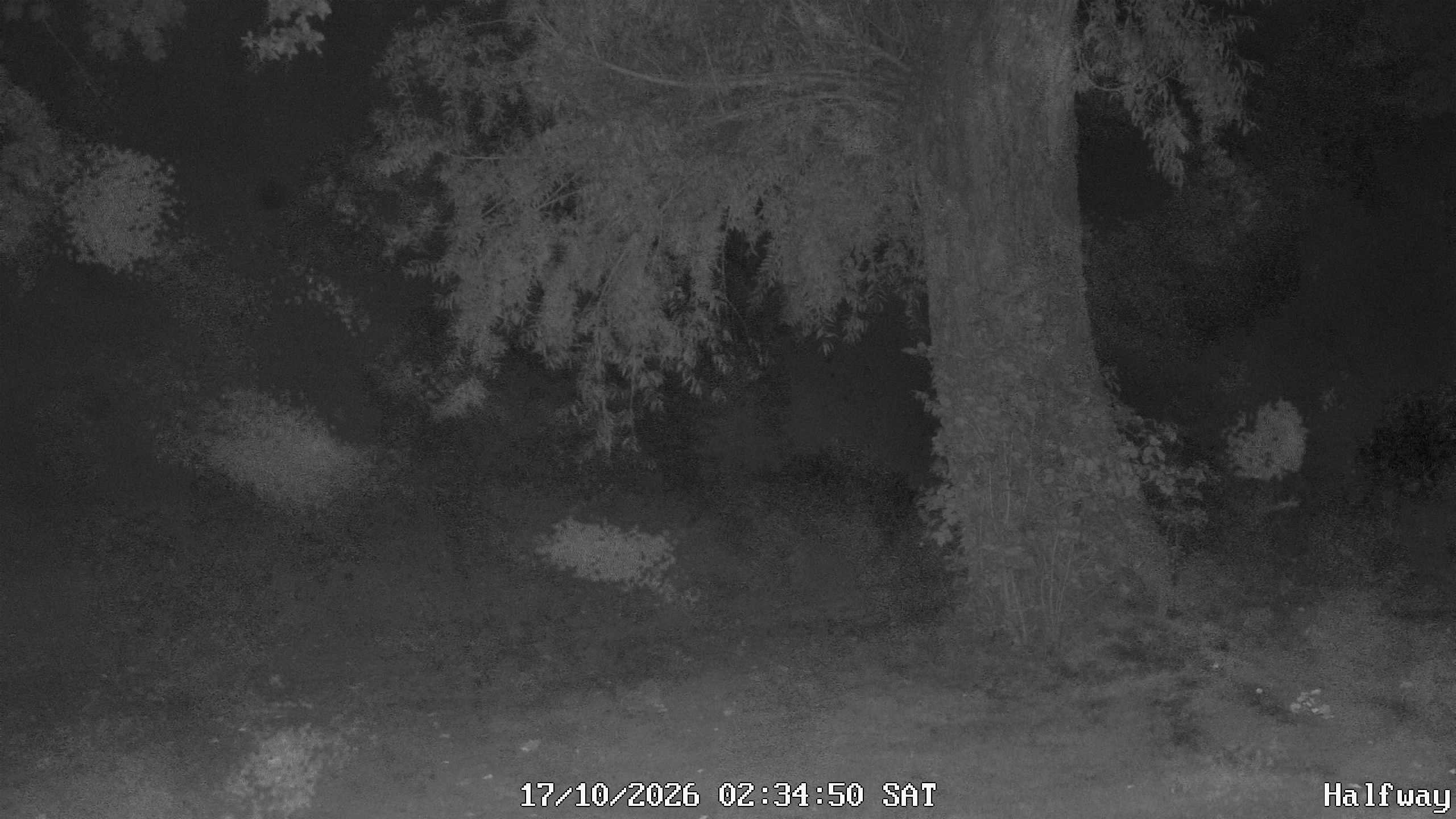 Archiv Foto Webcam Golfclub Rottal - Hebertsfelden - Eggenfelden