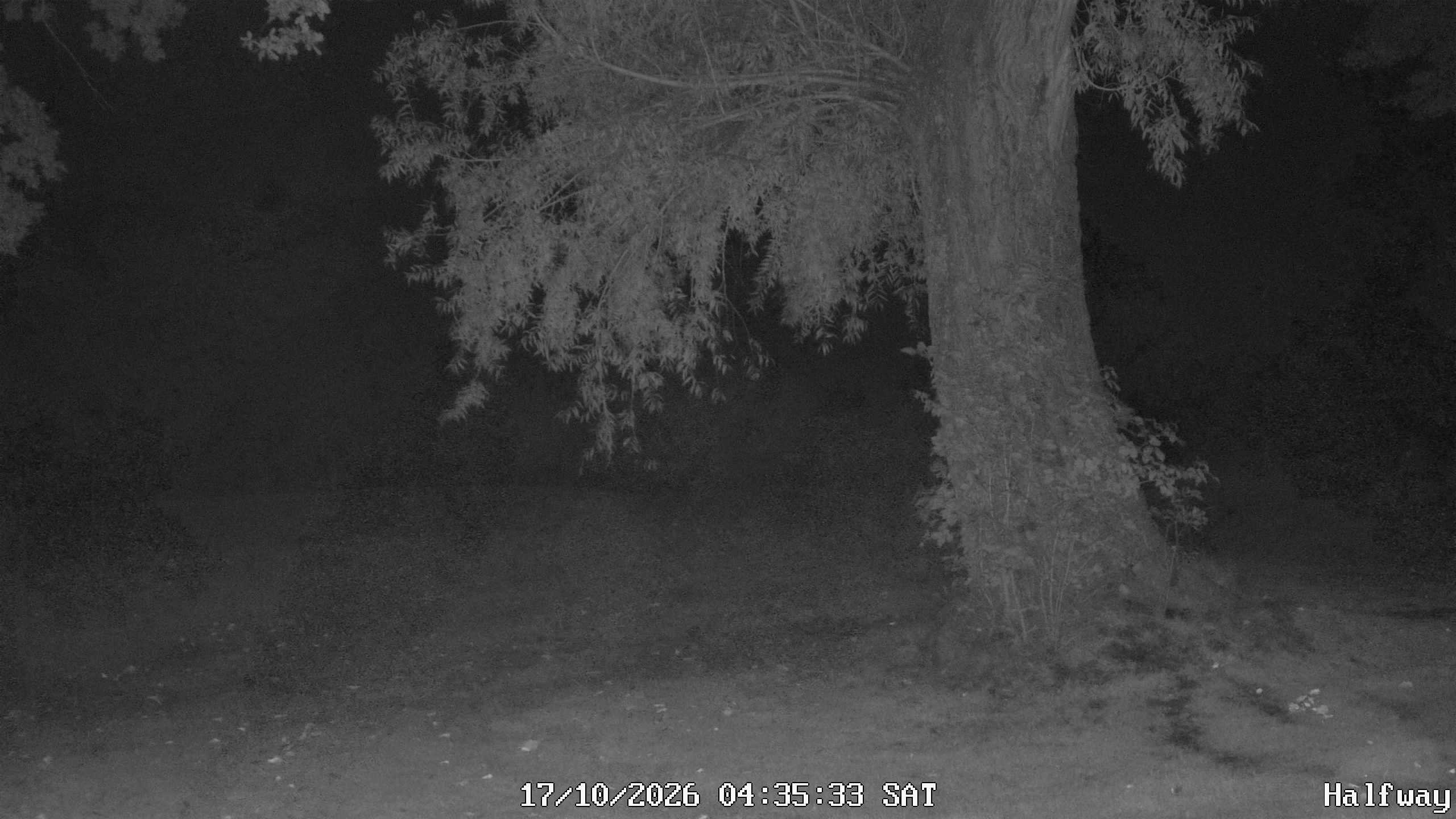 Archiv Foto Webcam Golfclub Rottal - Hebertsfelden - Eggenfelden
