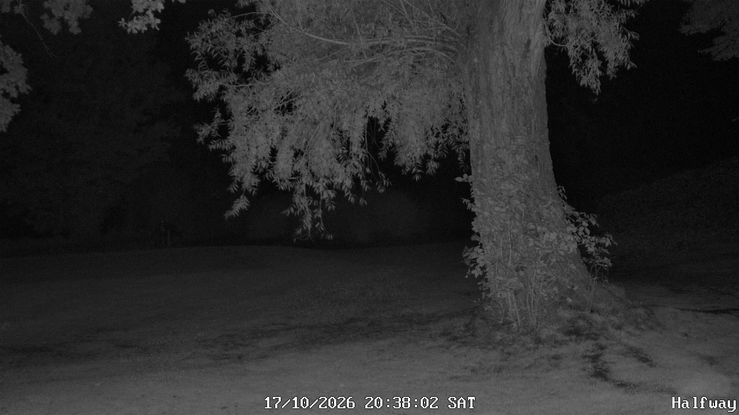 Archiv Foto Webcam Golfclub Rottal - Hebertsfelden - Eggenfelden