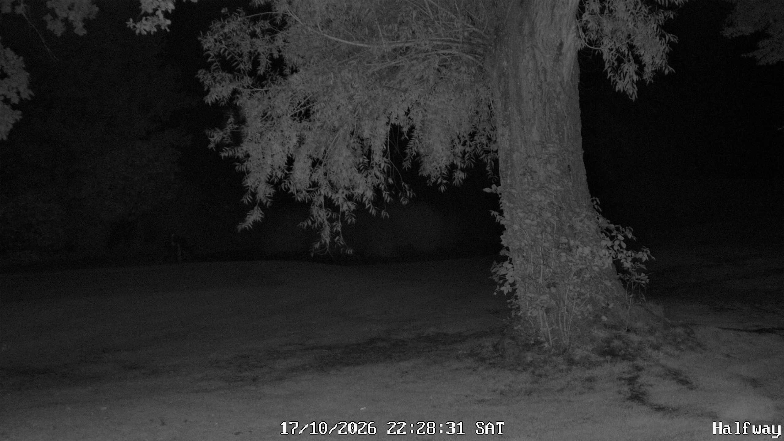 Archiv Foto Webcam Golfclub Rottal - Hebertsfelden - Eggenfelden