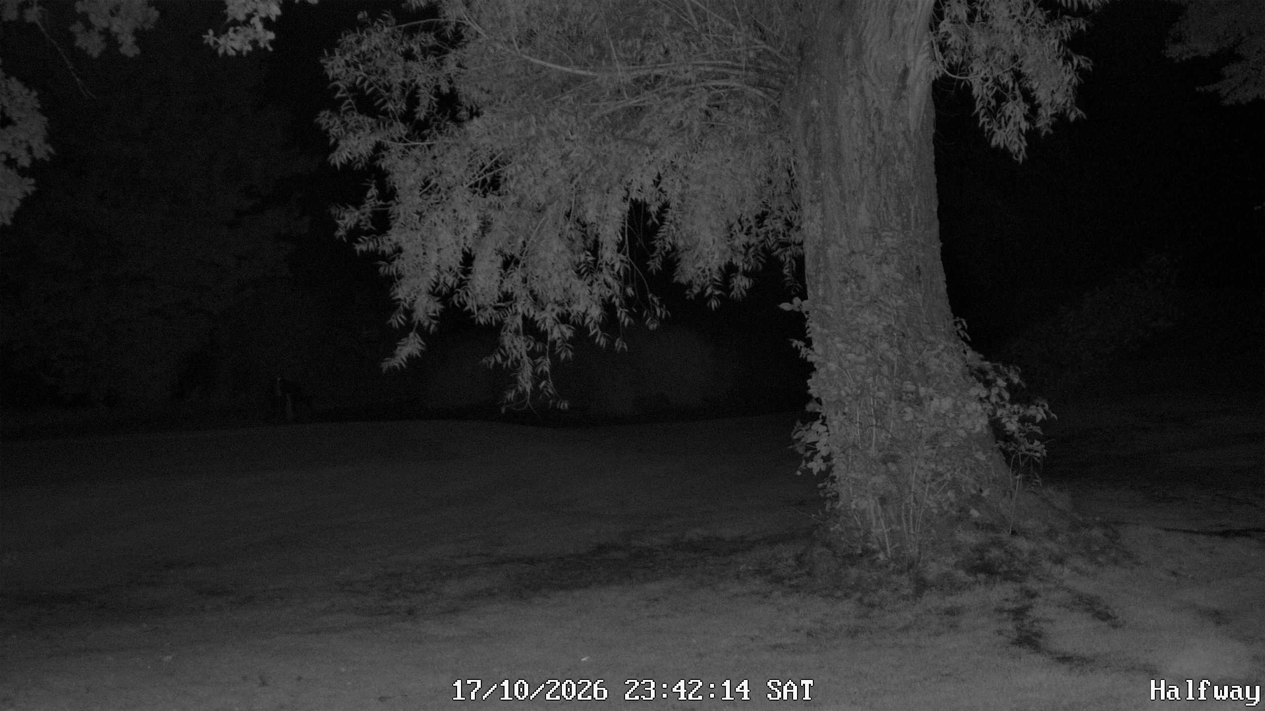 Archiv Foto Webcam Golfclub Rottal - Hebertsfelden - Eggenfelden