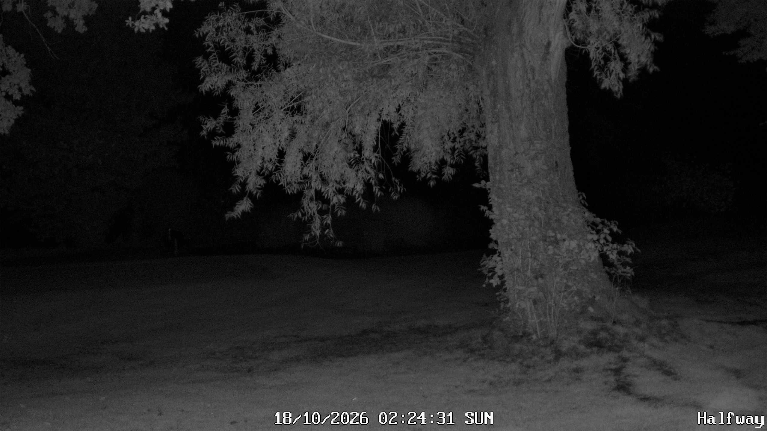 Archiv Foto Webcam Golfclub Rottal - Hebertsfelden - Eggenfelden