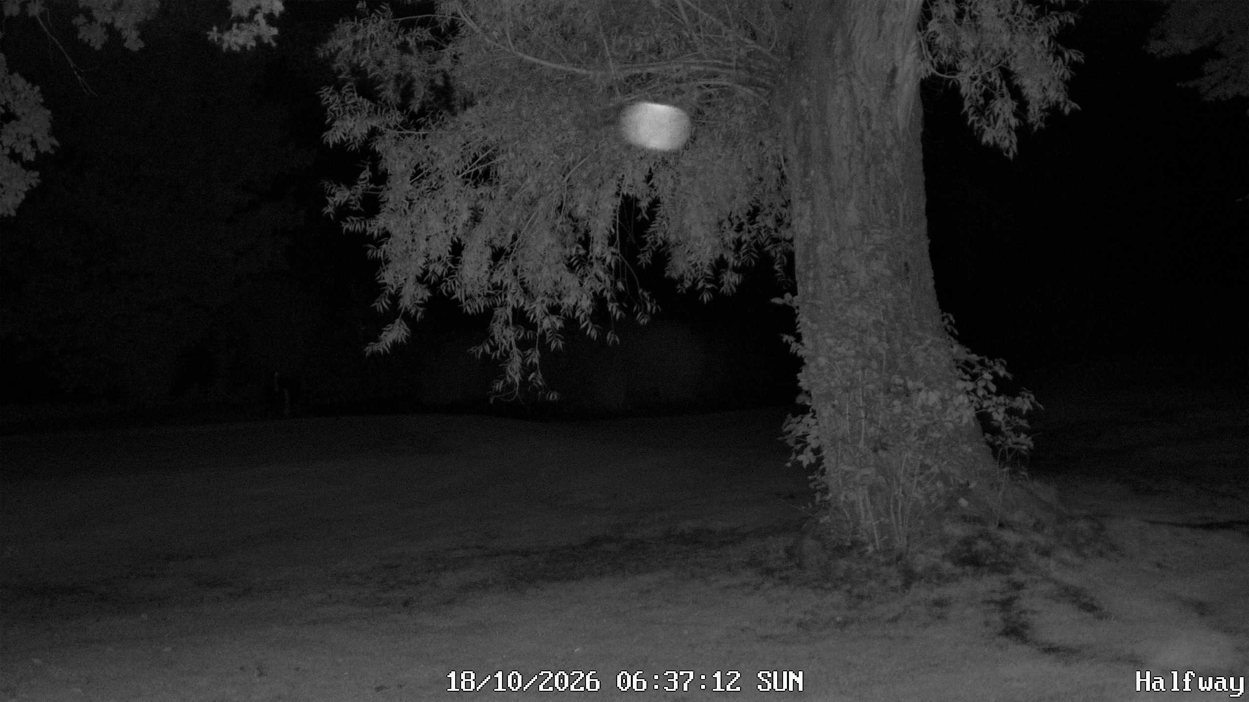 Archiv Foto Webcam Golfclub Rottal - Hebertsfelden - Eggenfelden