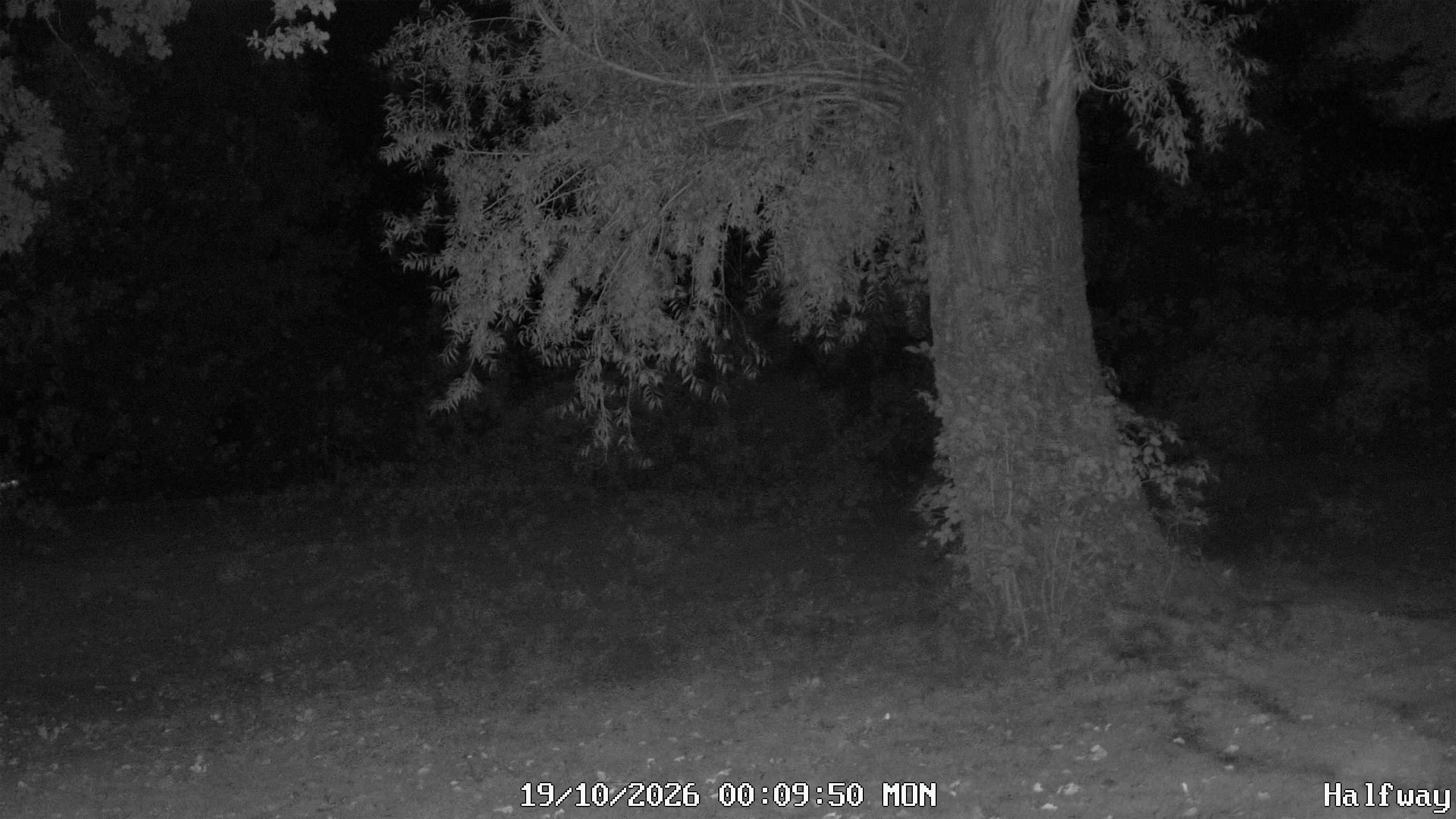 Archived image Webcam Golfclub Rottal - Herbertsfelden