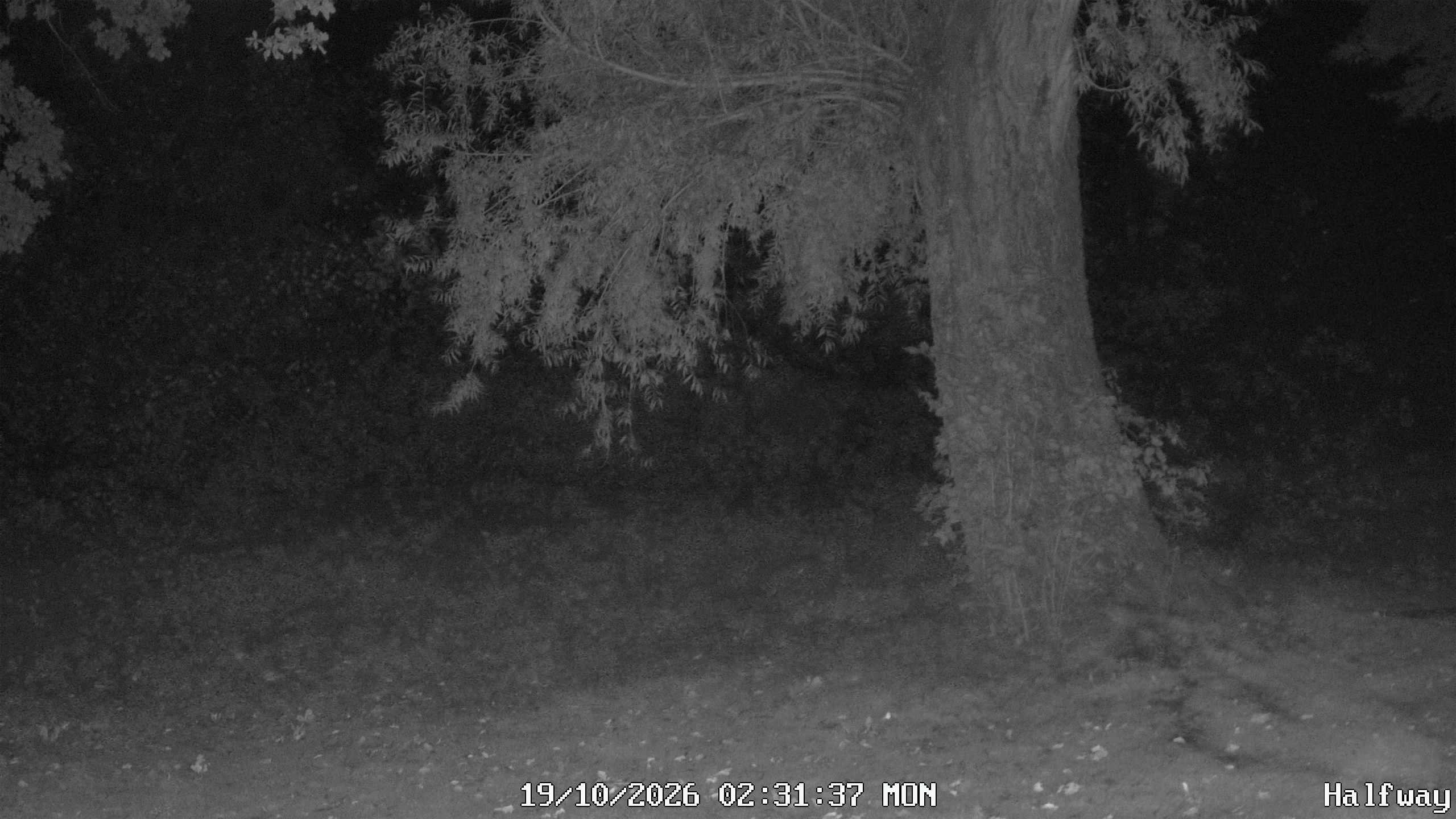 Archived image Webcam Golfclub Rottal - Herbertsfelden