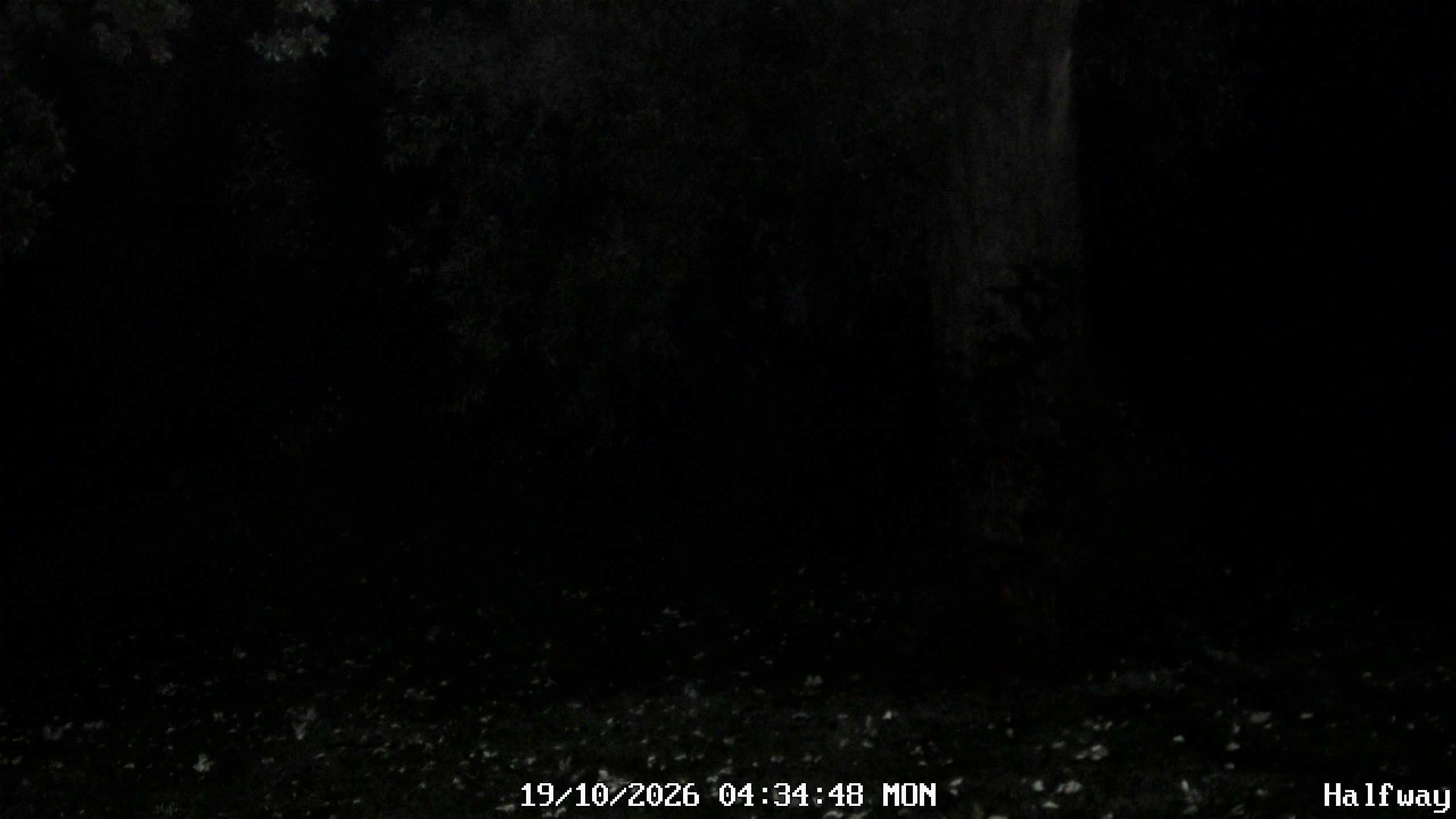 Archived image Webcam Golfclub Rottal - Herbertsfelden