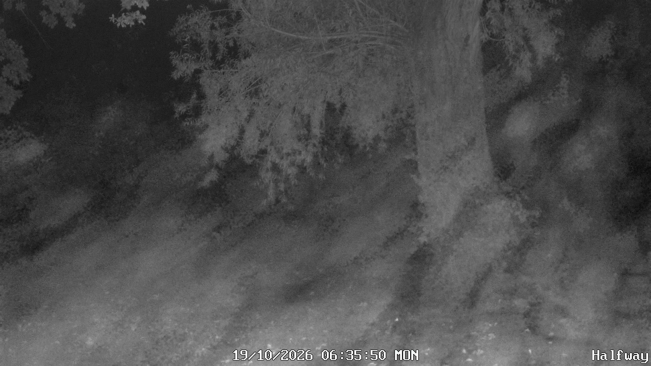 Archived image Webcam Golfclub Rottal - Herbertsfelden