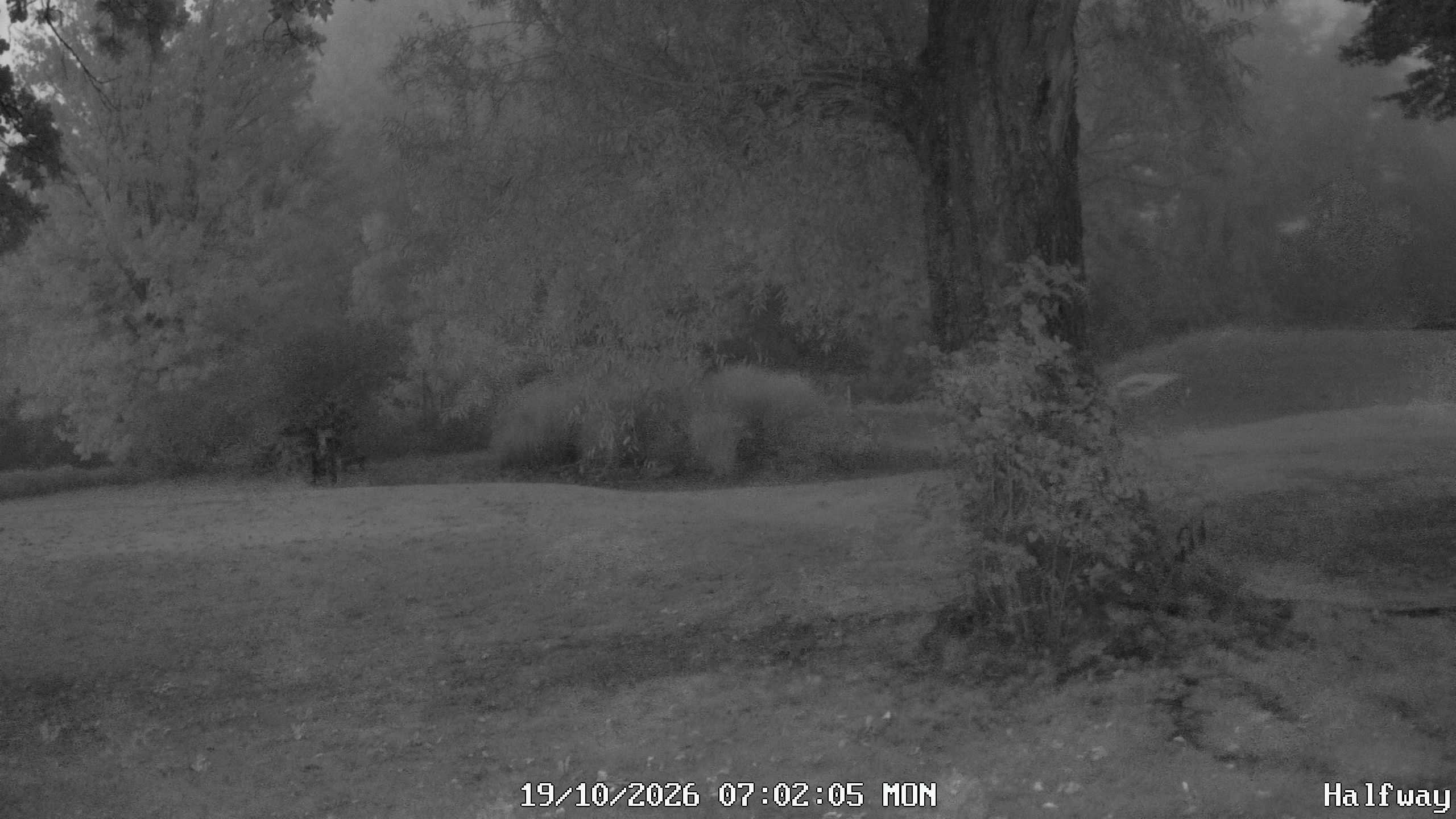 Archived image Webcam Golfclub Rottal - Herbertsfelden