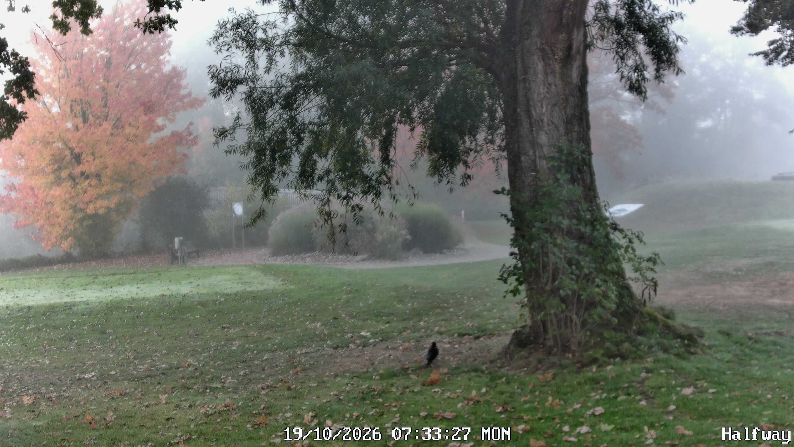 Archived image Webcam Golfclub Rottal - Herbertsfelden