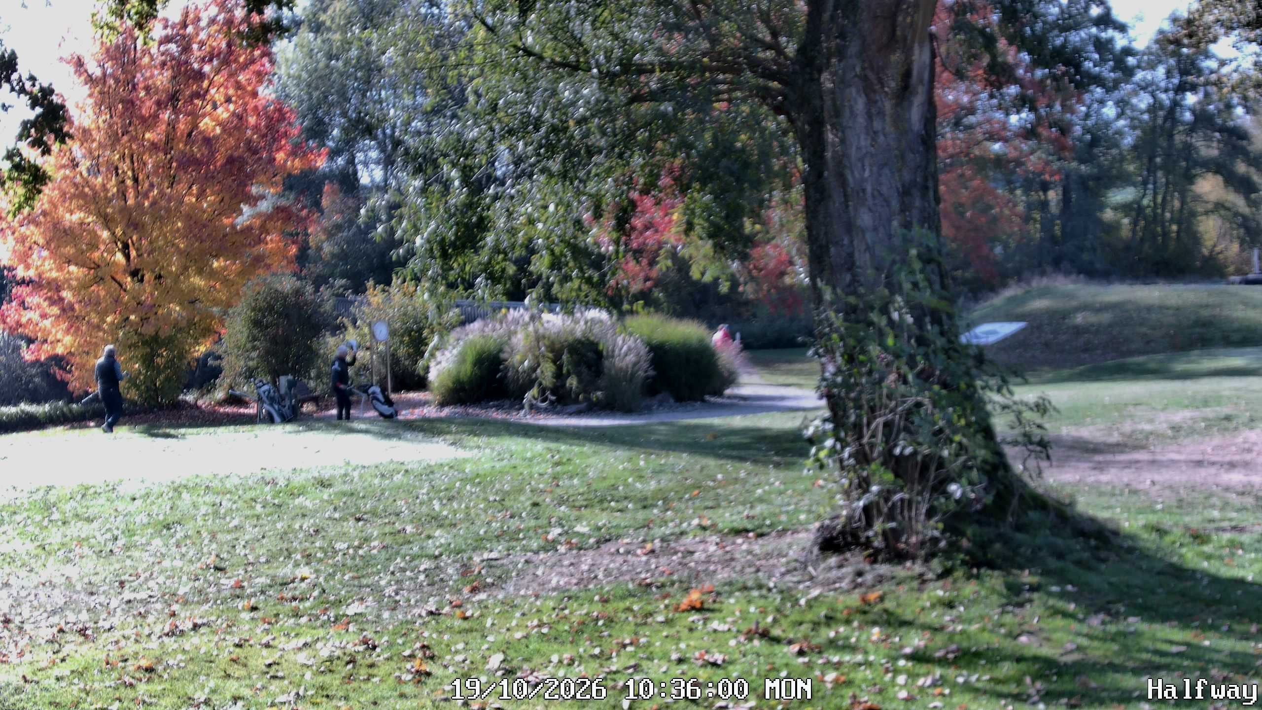 Archived image Webcam Golfclub Rottal - Herbertsfelden