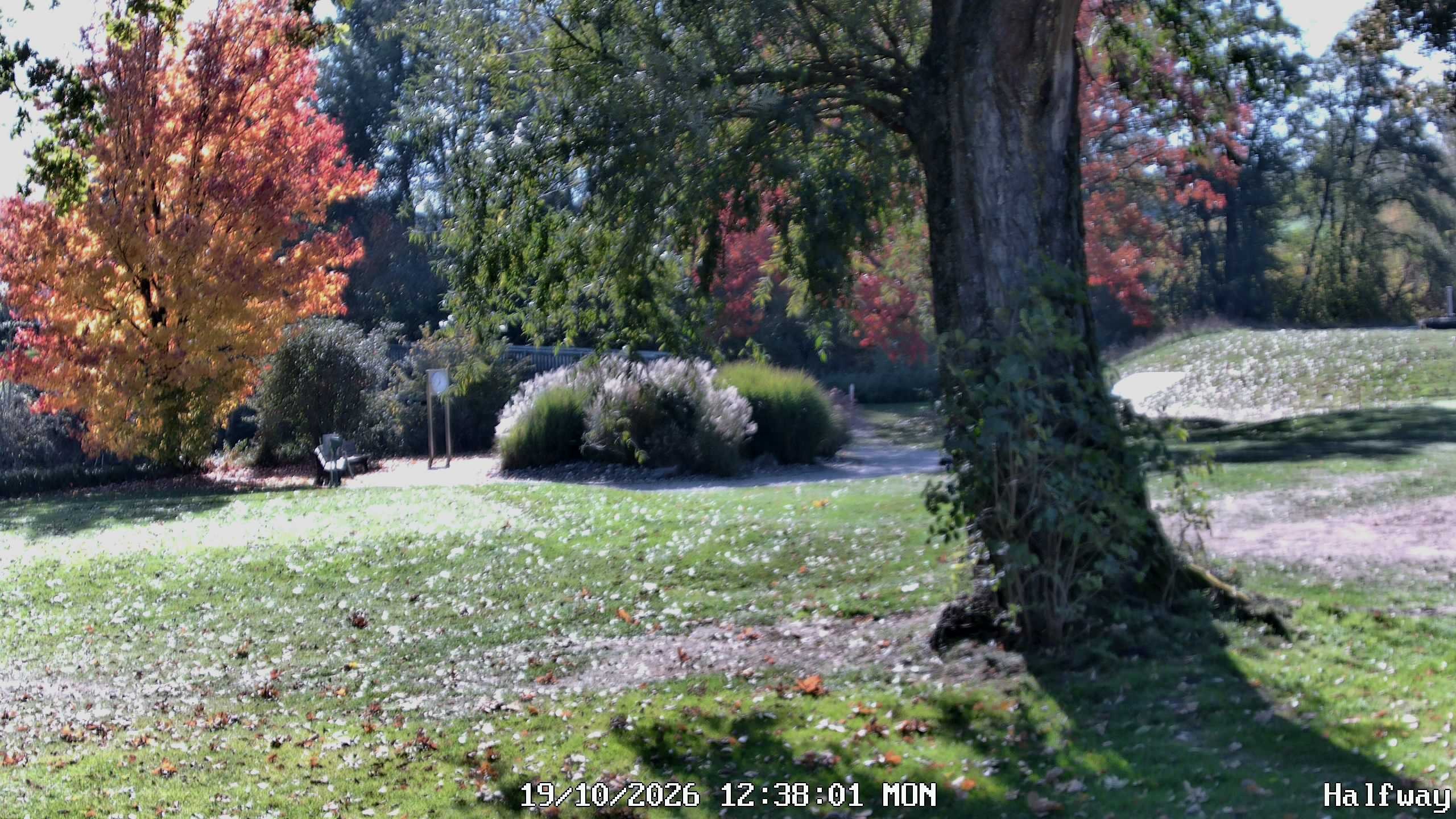 Archived image Webcam Golfclub Rottal - Herbertsfelden
