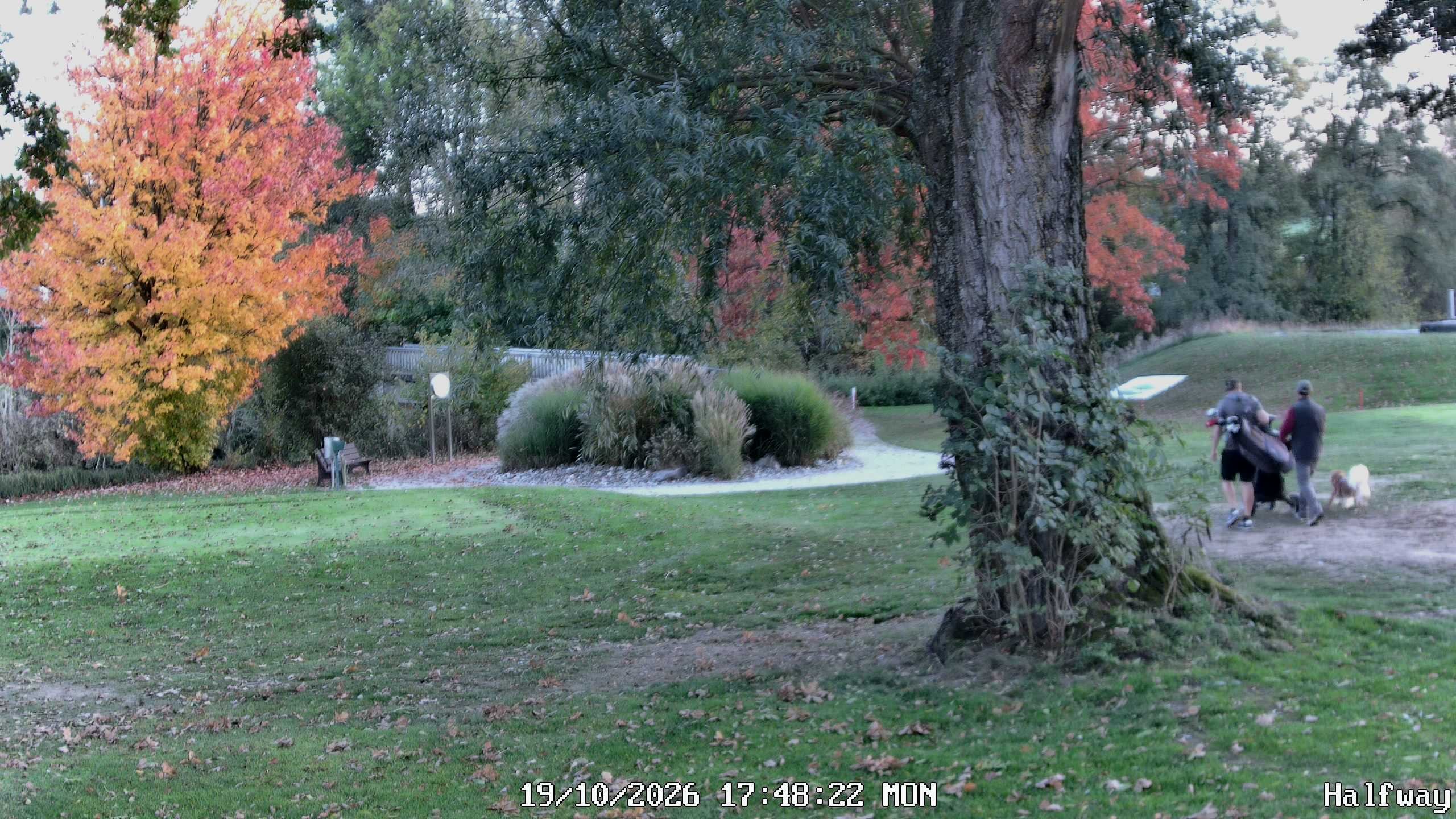 Archived image Webcam Golfclub Rottal - Herbertsfelden