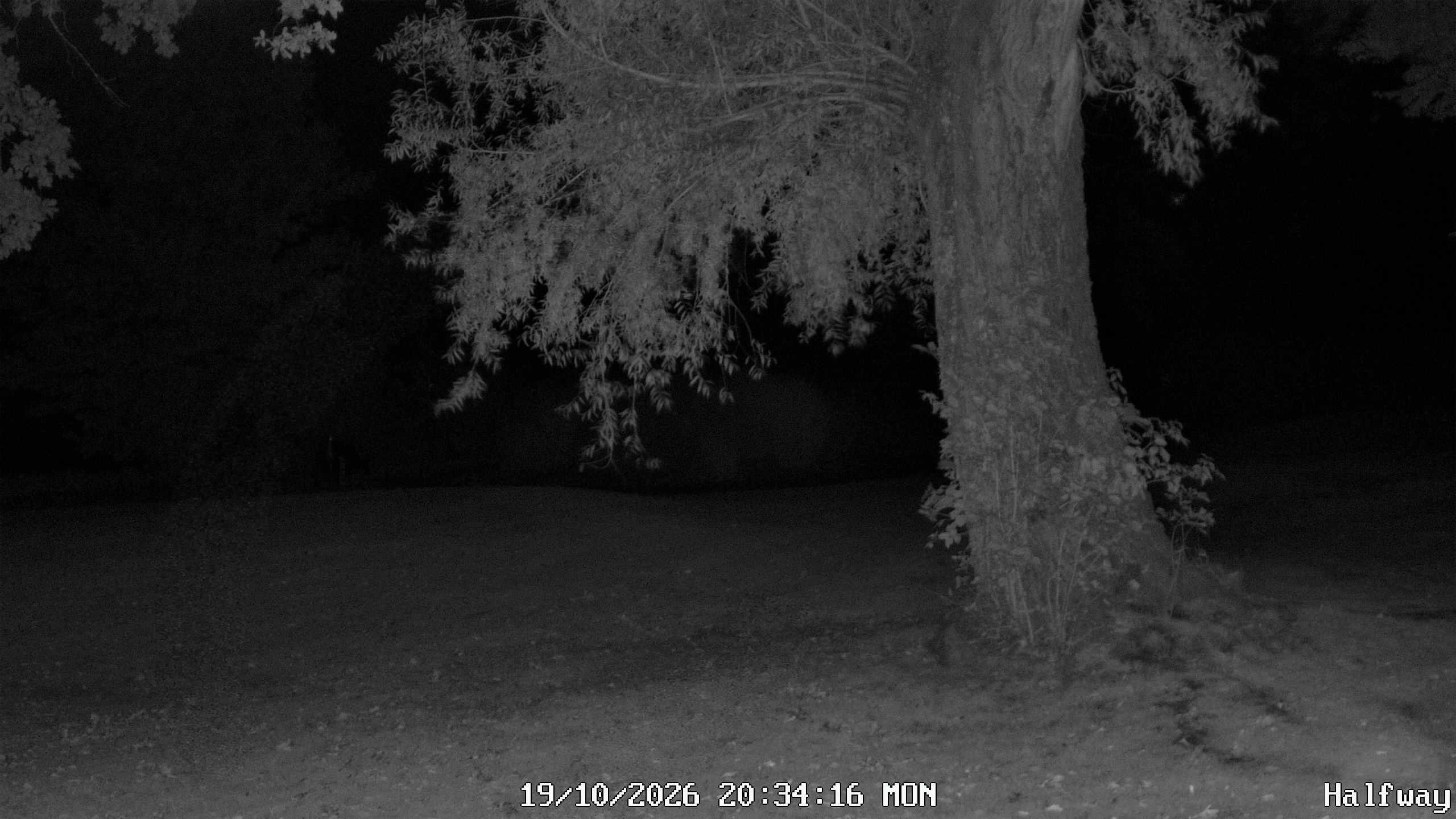 Archived image Webcam Golfclub Rottal - Herbertsfelden