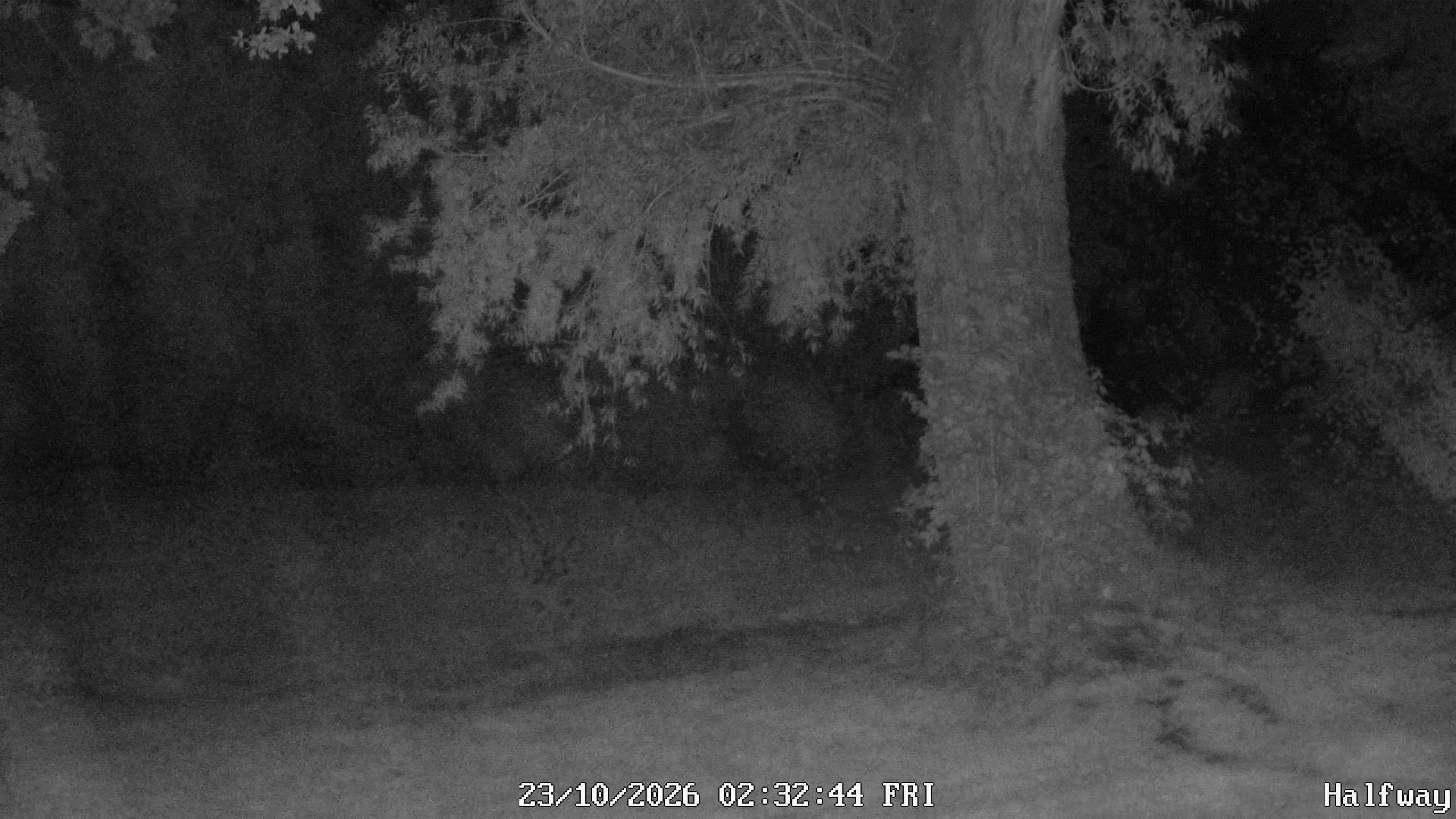 Archiv Foto Webcam Golfclub Rottal - Hebertsfelden - Eggenfelden