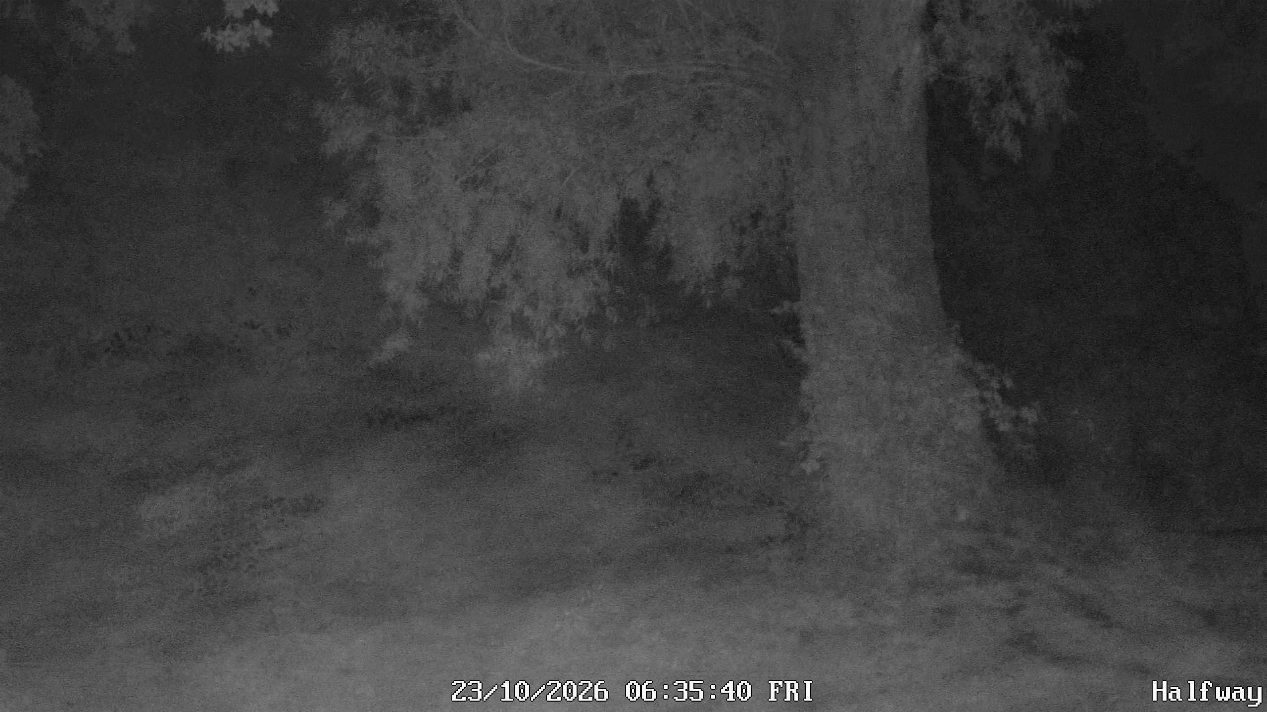 Archiv Foto Webcam Golfclub Rottal - Hebertsfelden - Eggenfelden