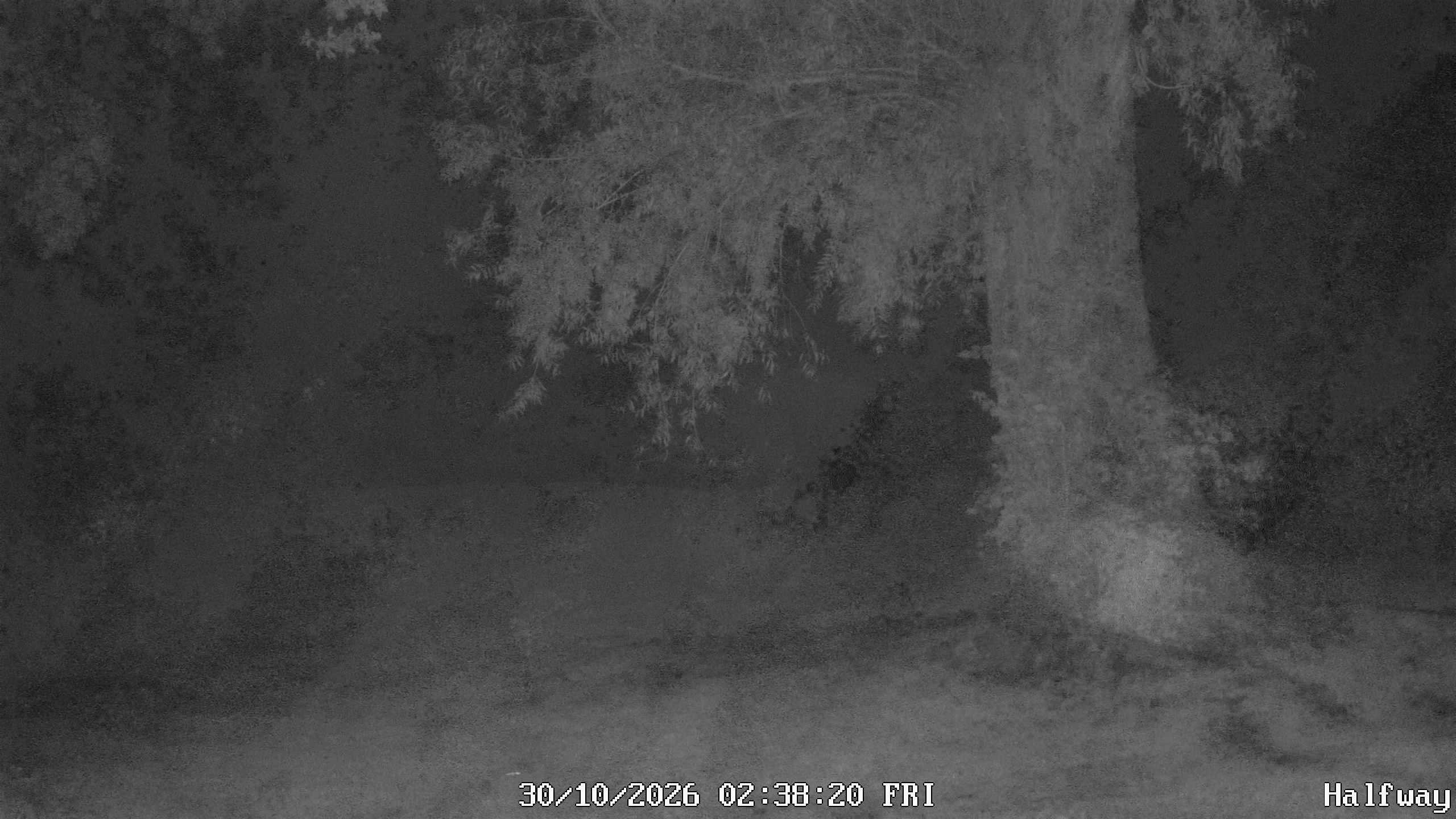 Archived image Webcam Golfclub Rottal - Herbertsfelden