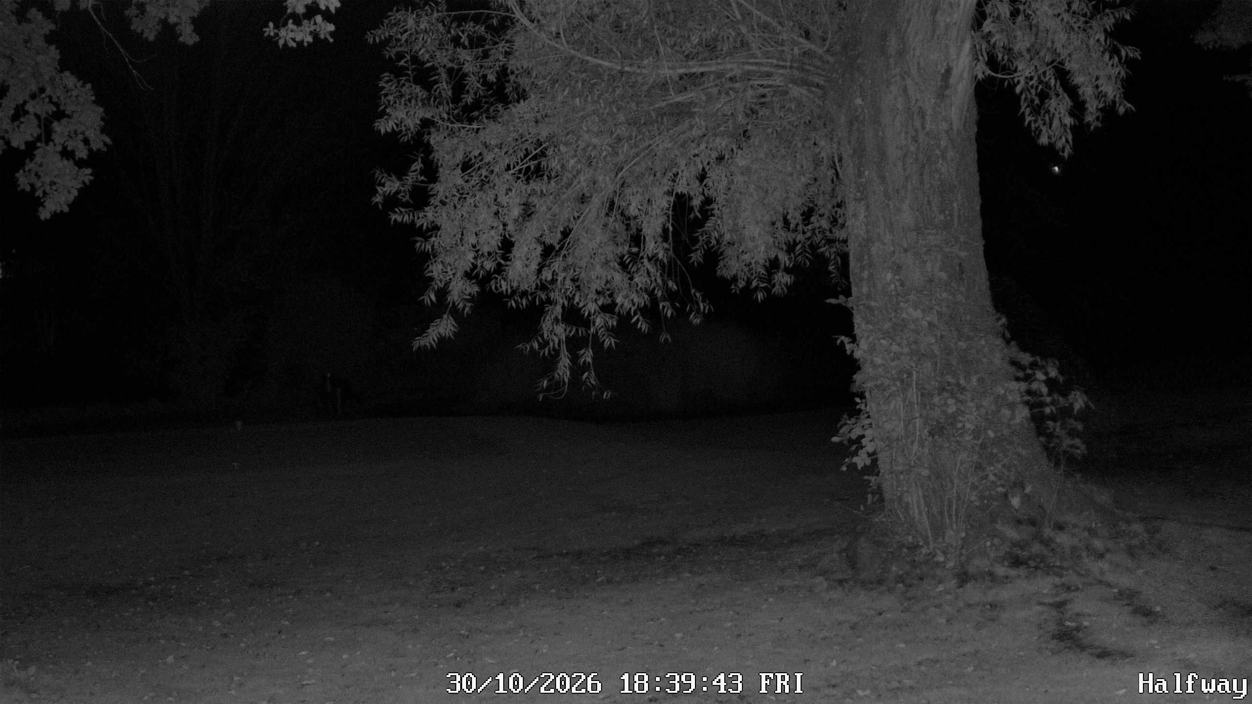 Archiv Foto Webcam Golfclub Rottal - Hebertsfelden - Eggenfelden