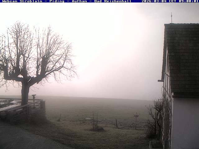 Archiv Foto Webcam Strobalm - Piding - Aufham - Bad Reichenhall