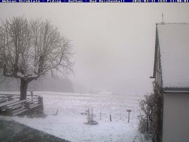 Archiv Foto Webcam Strobalm - Piding - Aufham - Bad Reichenhall