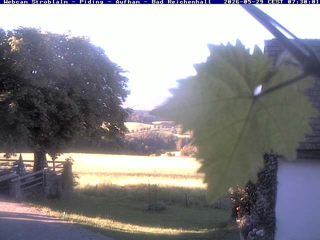 Archiv Foto Webcam Strobalm - Piding - Aufham - Bad Reichenhall
