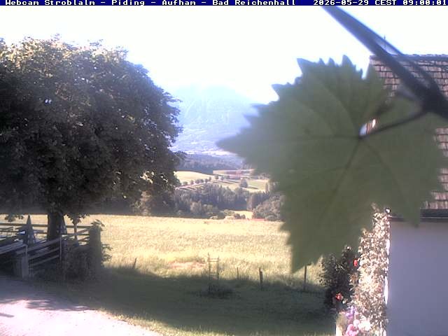 Archiv Foto Webcam Strobalm - Piding - Aufham - Bad Reichenhall