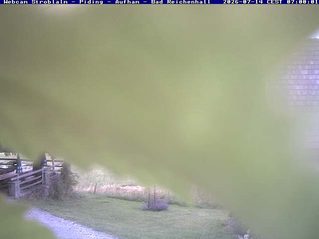 Archiv Foto Webcam Strobalm - Piding - Aufham - Bad Reichenhall