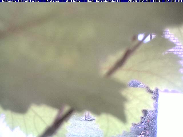 Archiv Foto Webcam Strobalm - Piding - Aufham - Bad Reichenhall