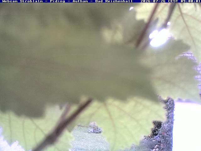 Archiv Foto Webcam Strobalm - Piding - Aufham - Bad Reichenhall