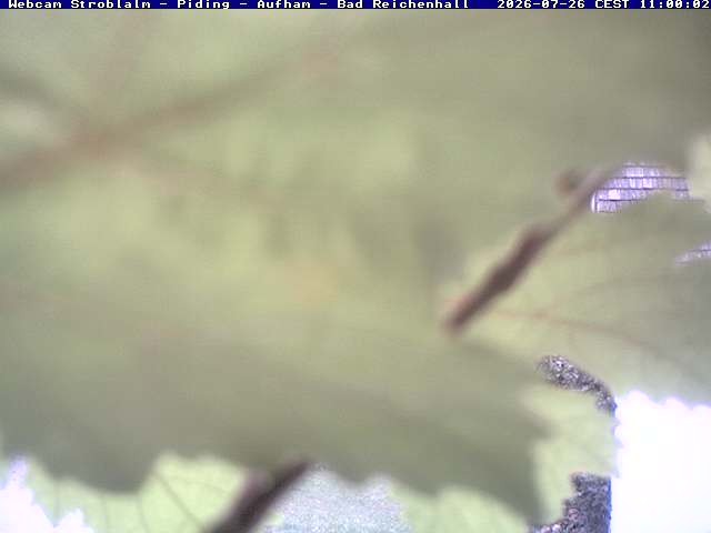 Archiv Foto Webcam Strobalm - Piding - Aufham - Bad Reichenhall