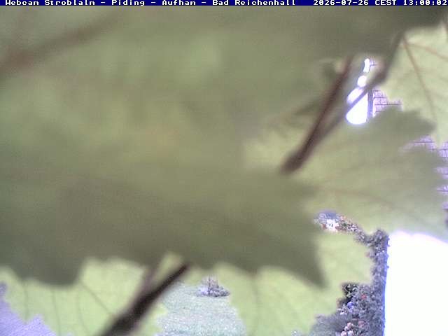Archiv Foto Webcam Strobalm - Piding - Aufham - Bad Reichenhall