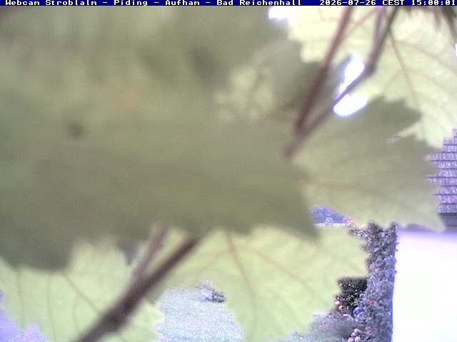 Archiv Foto Webcam Strobalm - Piding - Aufham - Bad Reichenhall
