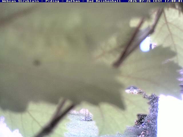 Archiv Foto Webcam Strobalm - Piding - Aufham - Bad Reichenhall
