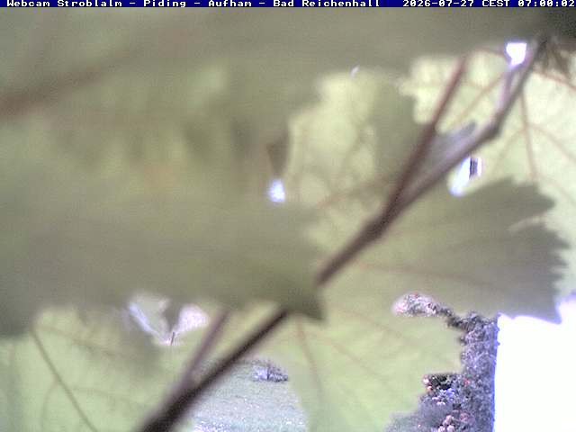 Archiv Foto Webcam Strobalm - Piding - Aufham - Bad Reichenhall